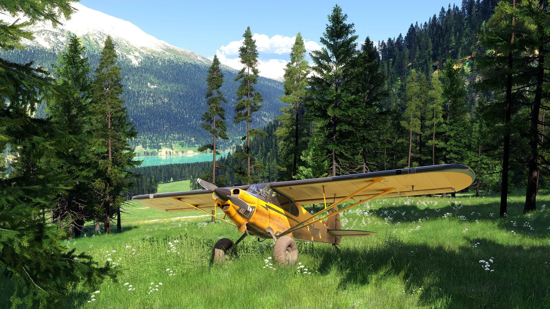 Download Flight Simulator Games for PC & Mac