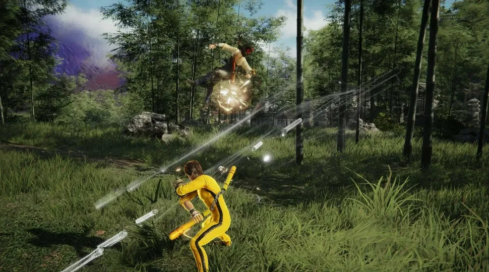 Naraka bladepoint game free download highly compressed