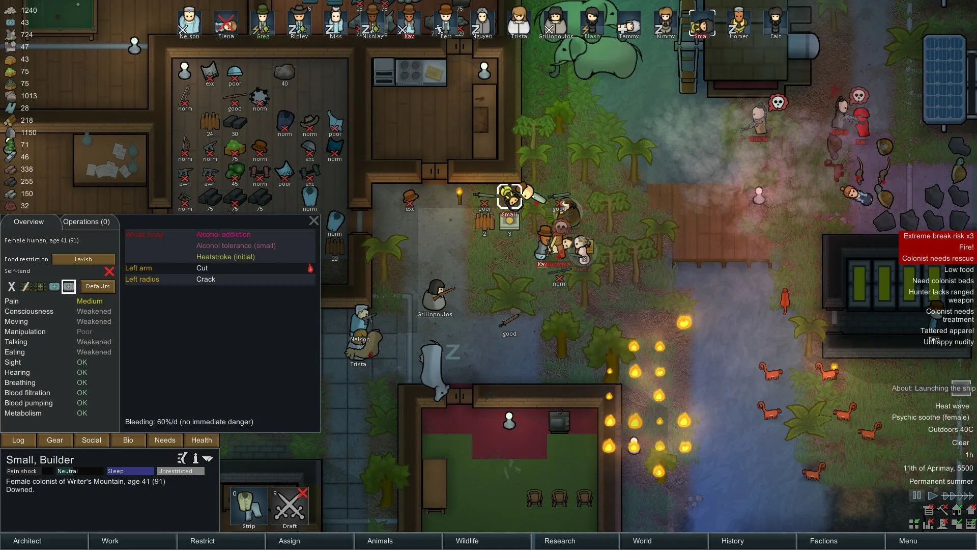 RimWorld PC Game Download for Windows