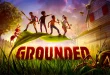 Grounded Full Download