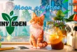 Tiny Eden Full PC Game Download